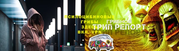 прущие грибы Медвежьегорск