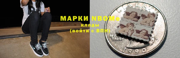 прущие грибы Медвежьегорск