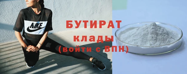 прущие грибы Медвежьегорск