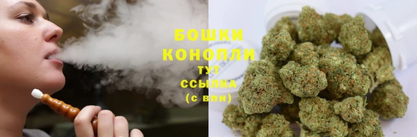дурь Мегион