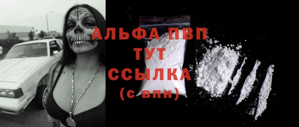 прущие грибы Медвежьегорск