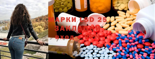 прущие грибы Медвежьегорск