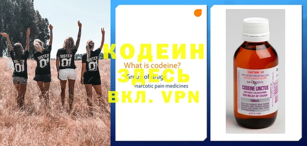 прущие грибы Медвежьегорск