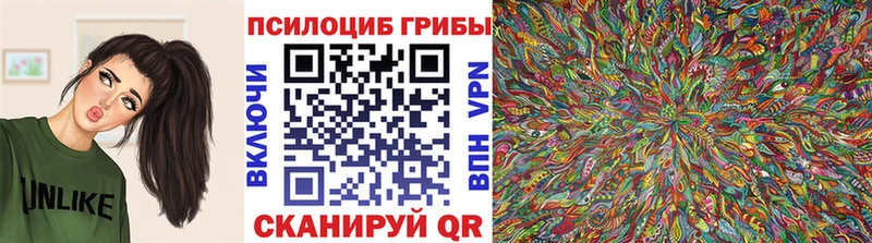 Галлюциногенные грибы Cubensis  Купить где  Чишмы 